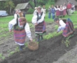 14.09.2008 Wykopki w Skansenie w Ciechanowcu