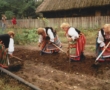 Wojewódzkie Spotkania Zespołów Kolędniczych w Drohiczynie 21 stycznia 1995